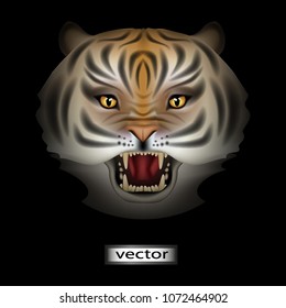 Vector, Tiger clears, growls, attacks. Grin, the muzzle of a wild beast, the Tiger opened its mouth to bite. 3D, mesh, cartoon, realistic illustration.