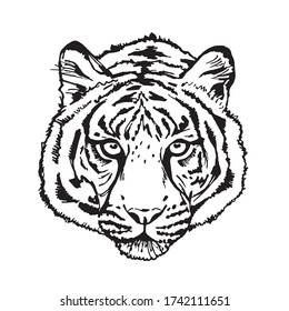 Vector Tiger Tattoo Sport Logo Tshirt Stock Vector (Royalty Free) 561448105