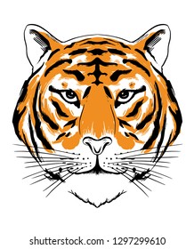 Vector tiger head illustration.