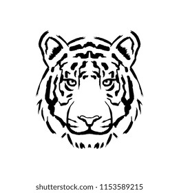 Vector Tiger Illustration Isolated On White Background