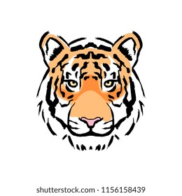 Vector Tiger Illustration Isolated On White Background