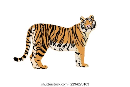 Vector tiger  illustration. Simple design of tiger silhouette, Animals. Big cats. Predatory mammals.