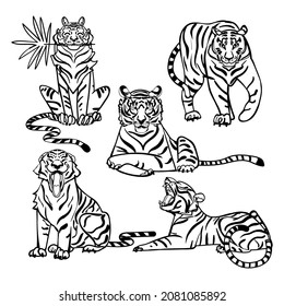 Vector tiger linear set. Isolated on white background. Outline illustration. Collection of simple tiger in different pose. Chinese New Year 2022