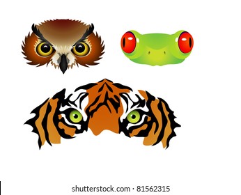 vector tiger owl frog eyes