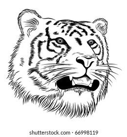 Vector tiger represented in the form of a tattoo