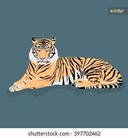 Vector Tiger Sitting