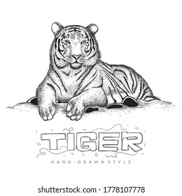 vector tiger sitting relaxing, illustration of animal in hand drawing