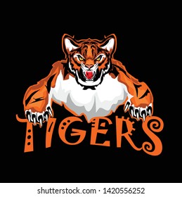 Vector tiger sport emblem, isolated on black background.