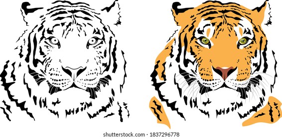 Vector tiger.  Stylish picture, can be used as a beautiful print, tattoo, logotype and so on.