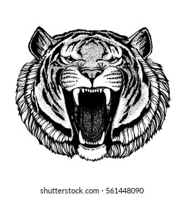 Vector tiger for tattoo, sport logo, t-shirt, poster