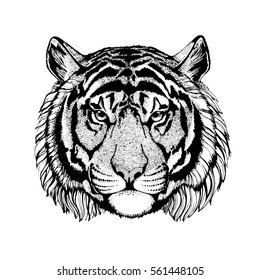 Tiger Portrait Dreamy Magic Art Power Stock Vector (Royalty Free ...