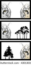 vector of a Tigers face.