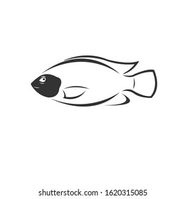 Vector tilapia fish Black. illustration. logo. icon. symbol. on white background