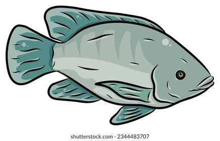 Vector of Tilapia Fish with white stroke