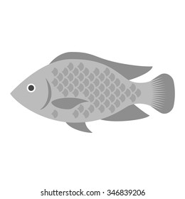 Vector Tilapia, flat design
