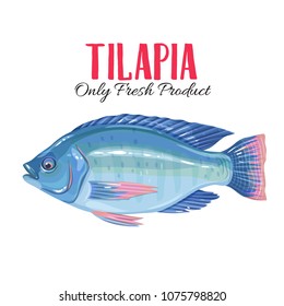 Vector tilapia. Icon badge fish for design seafood packaging and market.
