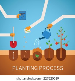 Vector timeline infographic concept of planting process in flat design