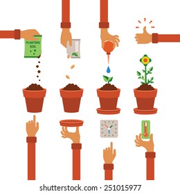 Vector timeline infographic concept of planting process in flat design