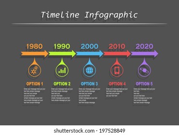 Vector Timeline Infographic template with charts and text