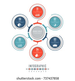 Vector timeline infographics for chart, diagram, web design, presentation, workflow layout