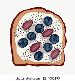 Vector of a toast with cheese spread, almond and blueberries, with chia seeds.