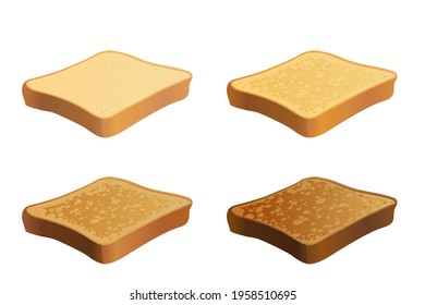 Vector toasted slices of bread. Illustration of toast in various cooked states isolated on white