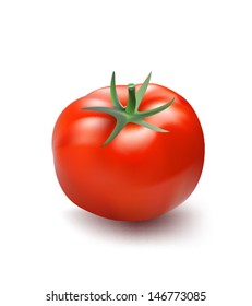 Vector tomato 