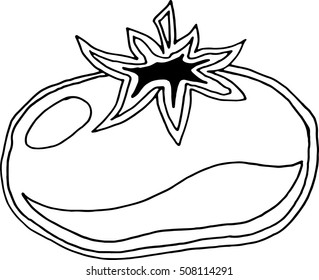 vector tomato