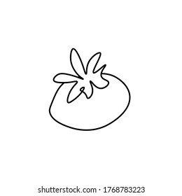 Vector tomato with a black line. Food and cooking illustration in doodle style on a white isolated background hand drawn.