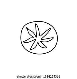 Vektortomate mit schwarzer Linie.Einfache Food- und Kochgrafik im Doodle-Stil auf weißem, isoliertem Hintergrund handgezeichnet.Design für soziale Netzwerke, Web, Werbung, Banner, Menüs, Rezepte.