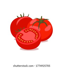 Tomate vectorial. grupo de tomates enteros y cortados sobre fondo blanco, ilustración vectorial.