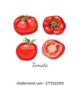 Vector tomato, fresh vegan, four tomatos