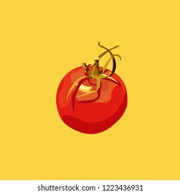 Vector tomato icon. Beautiful tomato on yellow background.