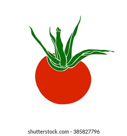 Vector tomato illustration on white background