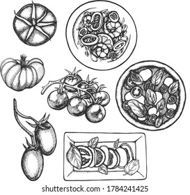 Vector tomato ink set with dishes