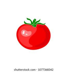 Vector Tomato Isolated on White Background, Red Vegetable.