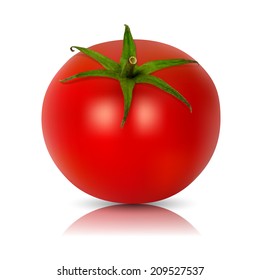 Vector tomato  - isolated  on white background