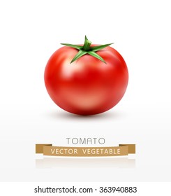 vector tomato isolated on white background