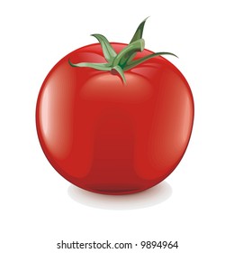 Vector Tomato on white background.