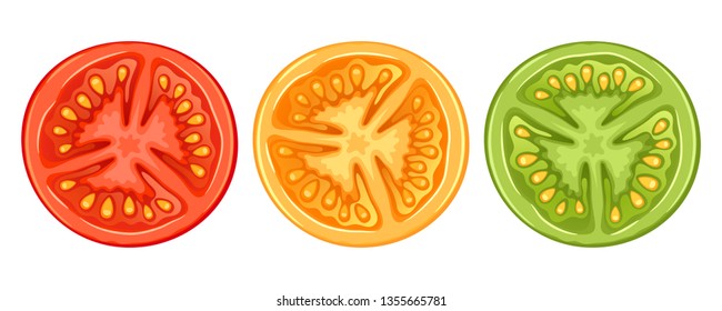 Vector tomato slices isolated on white background - red, green, yellow.