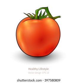 Vector Tomato with stylized realistic look