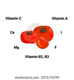 Vector tomato with its vitamins and minerals. Educational health benefits poster, illustration.