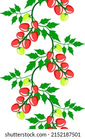 Vector - Tomatoes seamless garland. Vegetables template.