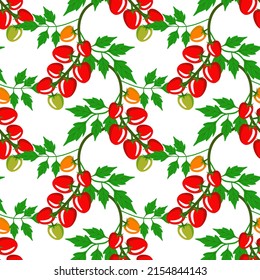 Vector - Tomatoes seamless pattern, watercolor illustration.