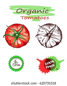 Vector tomatoes with text bio,organic tomatoes.Hand drawn tomato icons,may be used like logo.