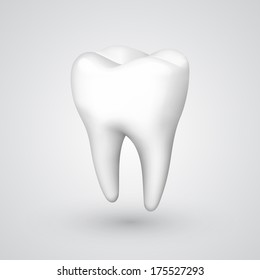 Vector tooth