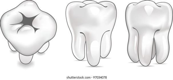 Vector tooth icons. Black and white.