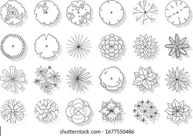 vector of top view tree set, hand drawn sketch on white background