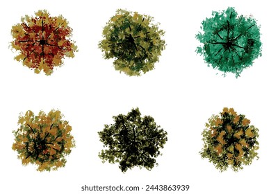 vector top view of trees and bushes vector illustrations set landscape elements for garden park