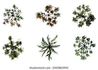vector top view of trees and bushes vector illustrations set landscape elements for garden park